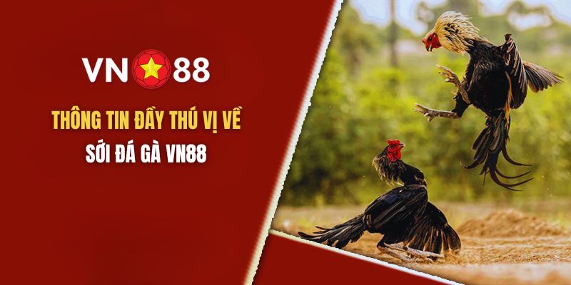 Thông tin về sới đá gà VN88